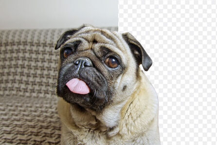 Videohintergründe ohne Greenscreen entfernen